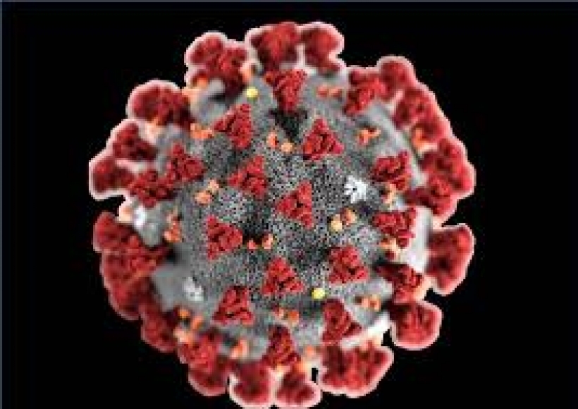 Decreto del Presidente del Consiglio dei Ministri  - 1 aprile 2020  "Disposizioni attuative del decreto-legge 25 marzo 2020, n. 19, recante misure urgenti per fronteggiare l'emergenza epidemiologica da COVID-19